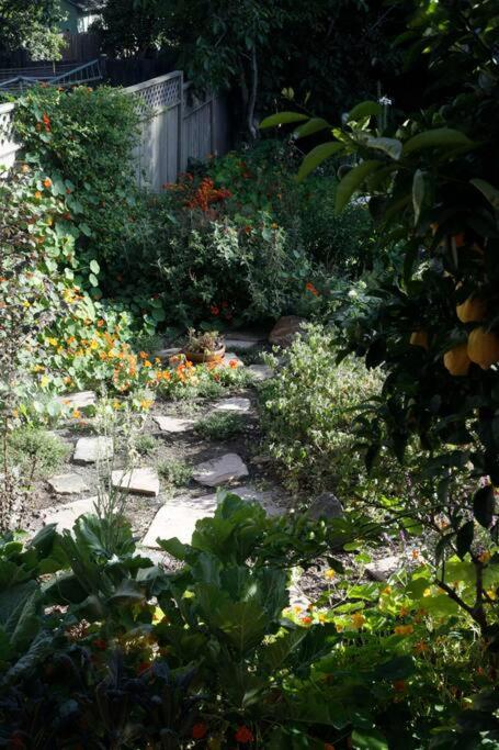 Beautiful, Historic Family Home Near Lake Merritt Oakland Esterno foto