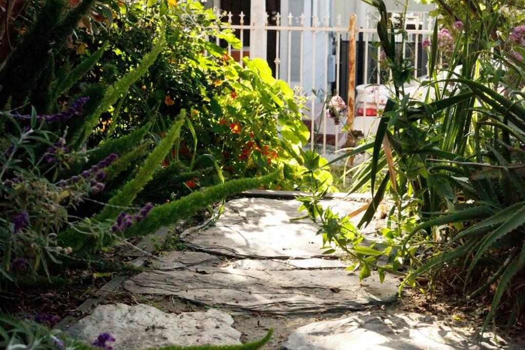 Beautiful, Historic Family Home Near Lake Merritt Oakland Esterno foto