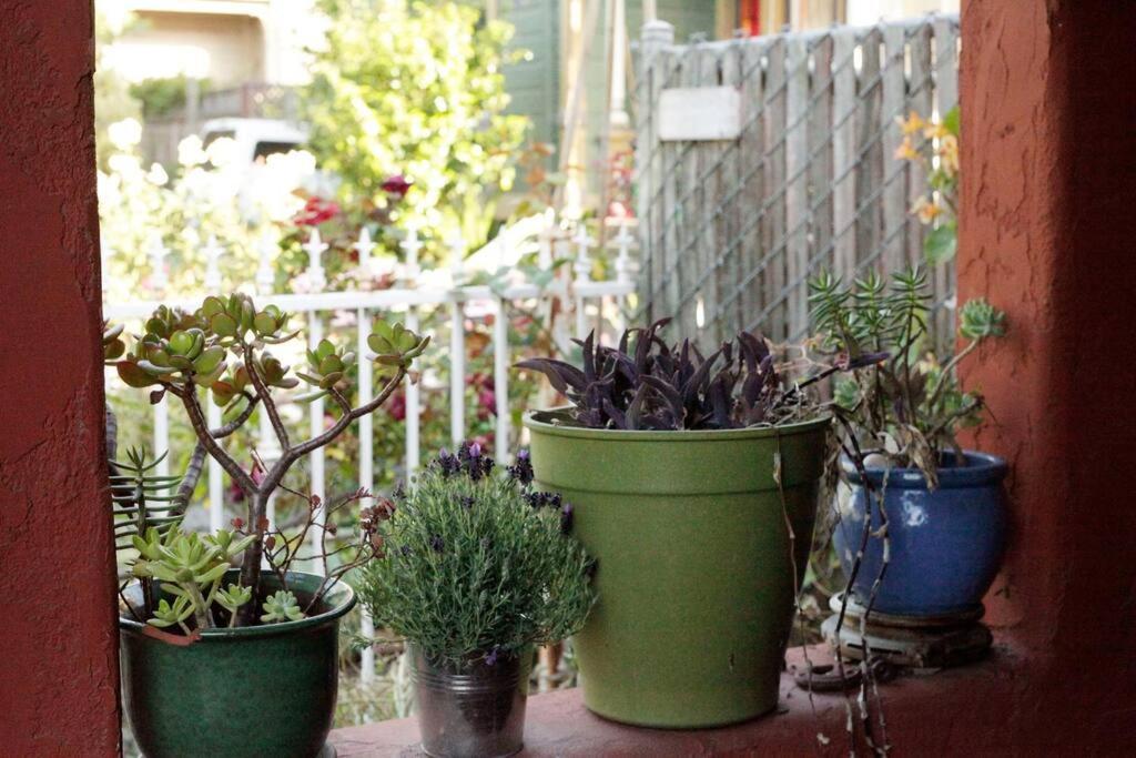 Beautiful, Historic Family Home Near Lake Merritt Oakland Esterno foto